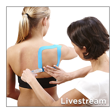 Lifestream