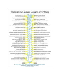 Your Nervous System Insert