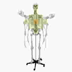 Modèle de squelette flexible