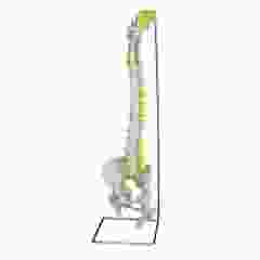 Flexible Physiological Spine Model