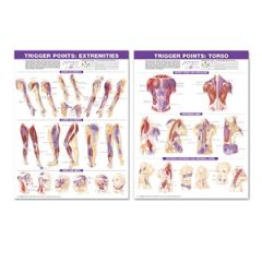 Trigger Points Chart Set