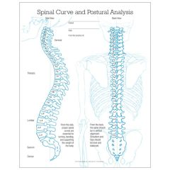 Left Postural Analysis