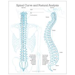 Right Postural Analysis