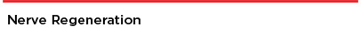 NerveRegeneration_1