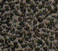base-silver-vien