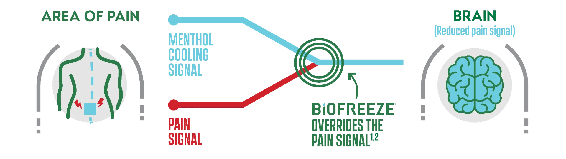 How Biofreeze Works