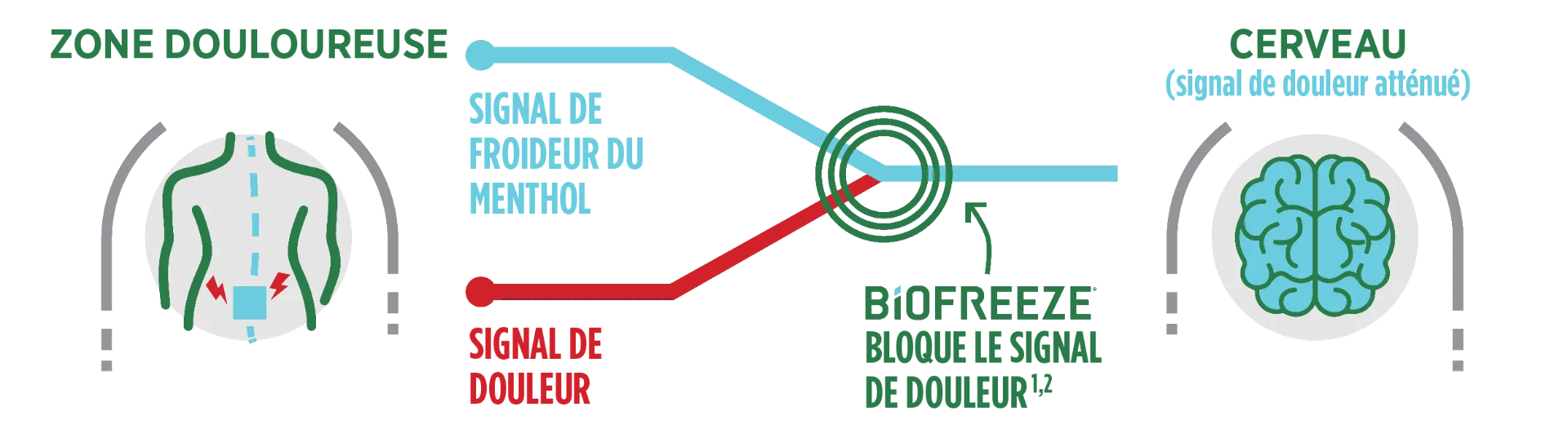 Comment agit le Biofreeze