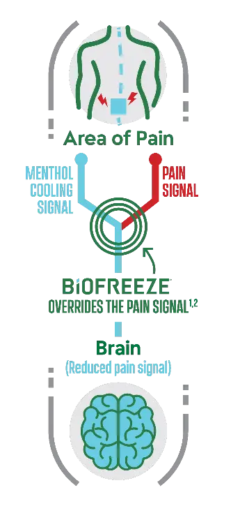 How Biofreeze Works