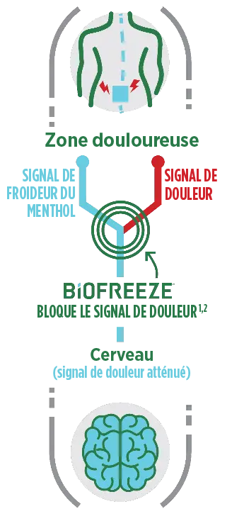Comment agit le Biofreeze